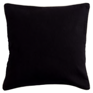 الأسود الأساسي