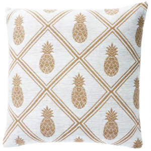 نووسا تروبيكس