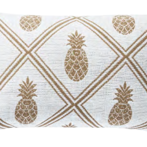 نووسا تروبيكس