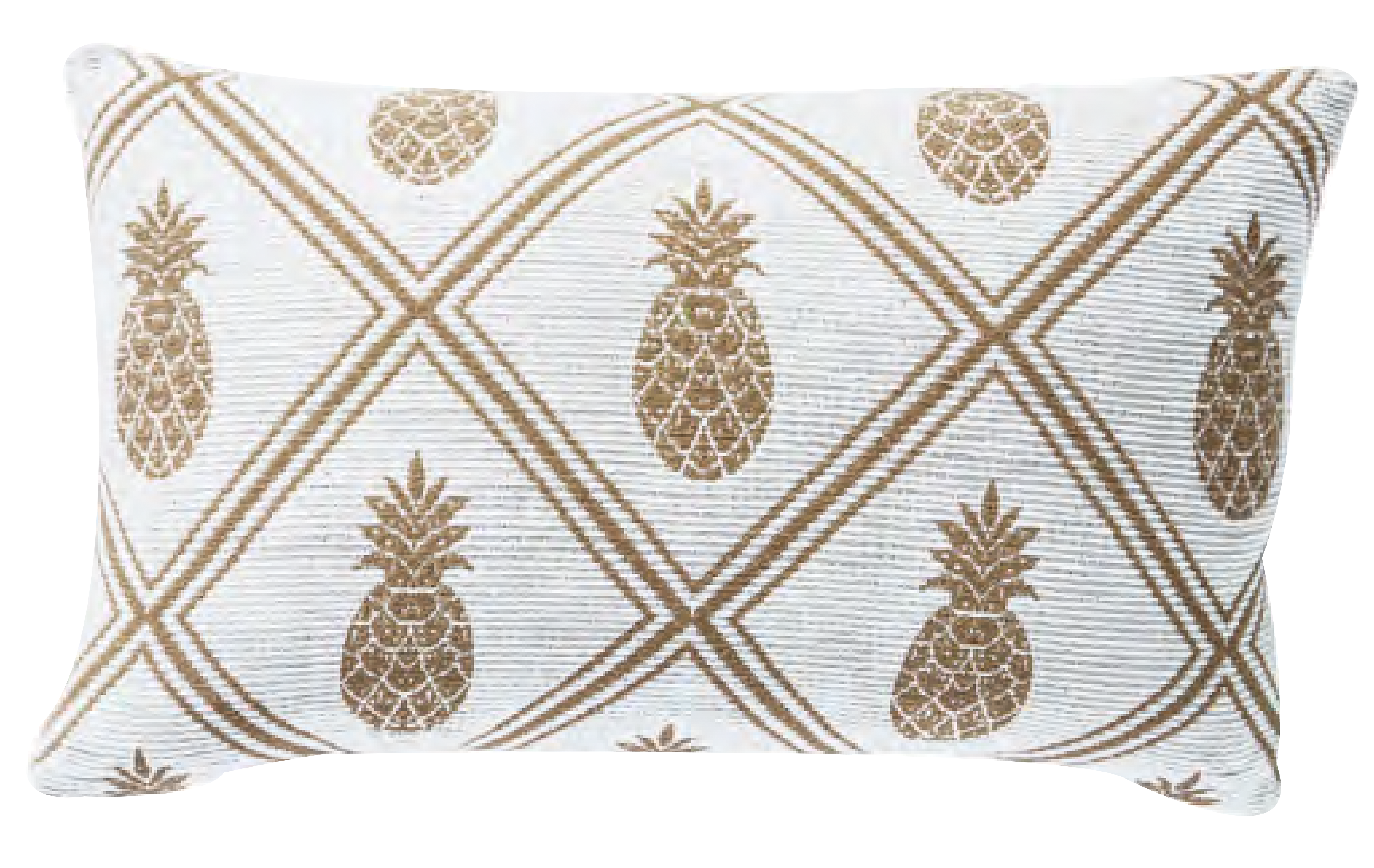 نووسا تروبيكس