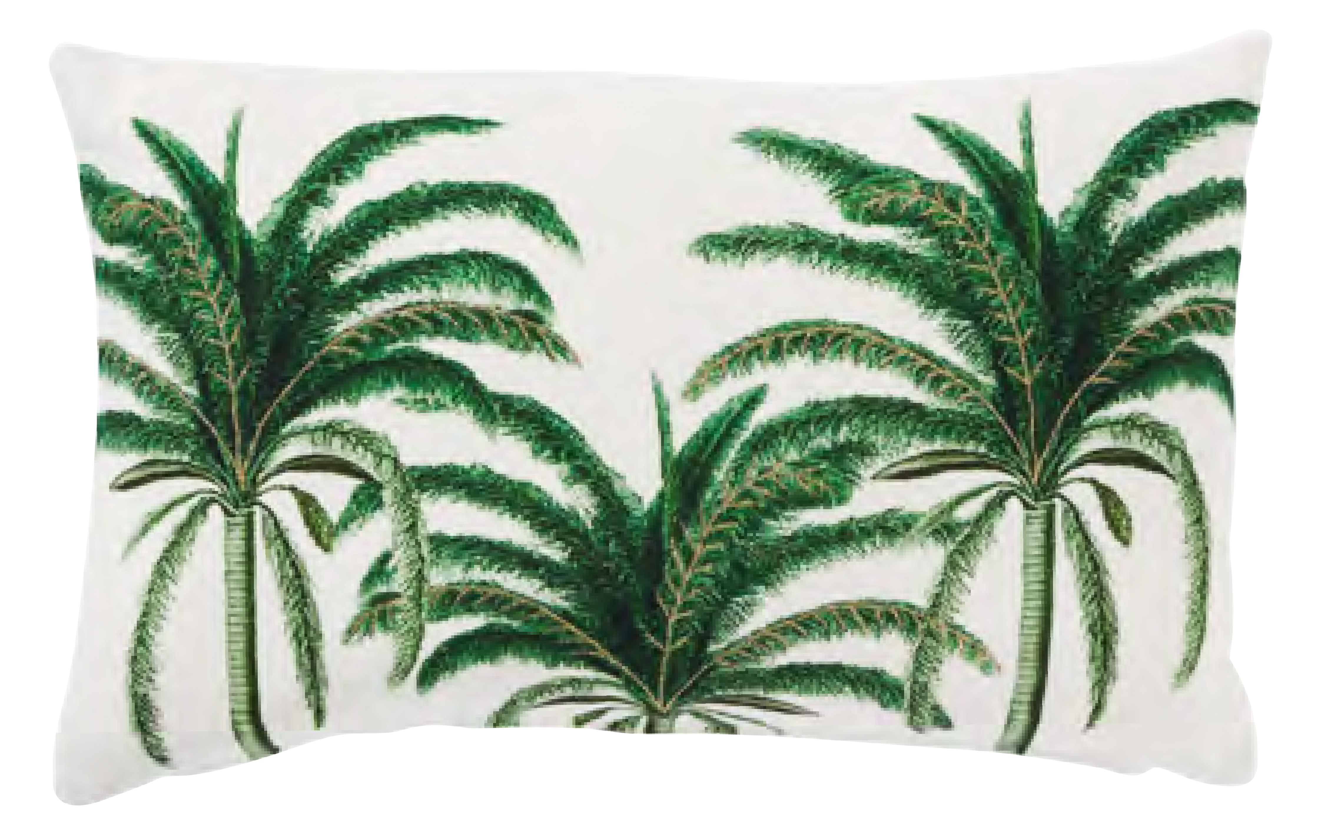 وسادة بالمي باهاما