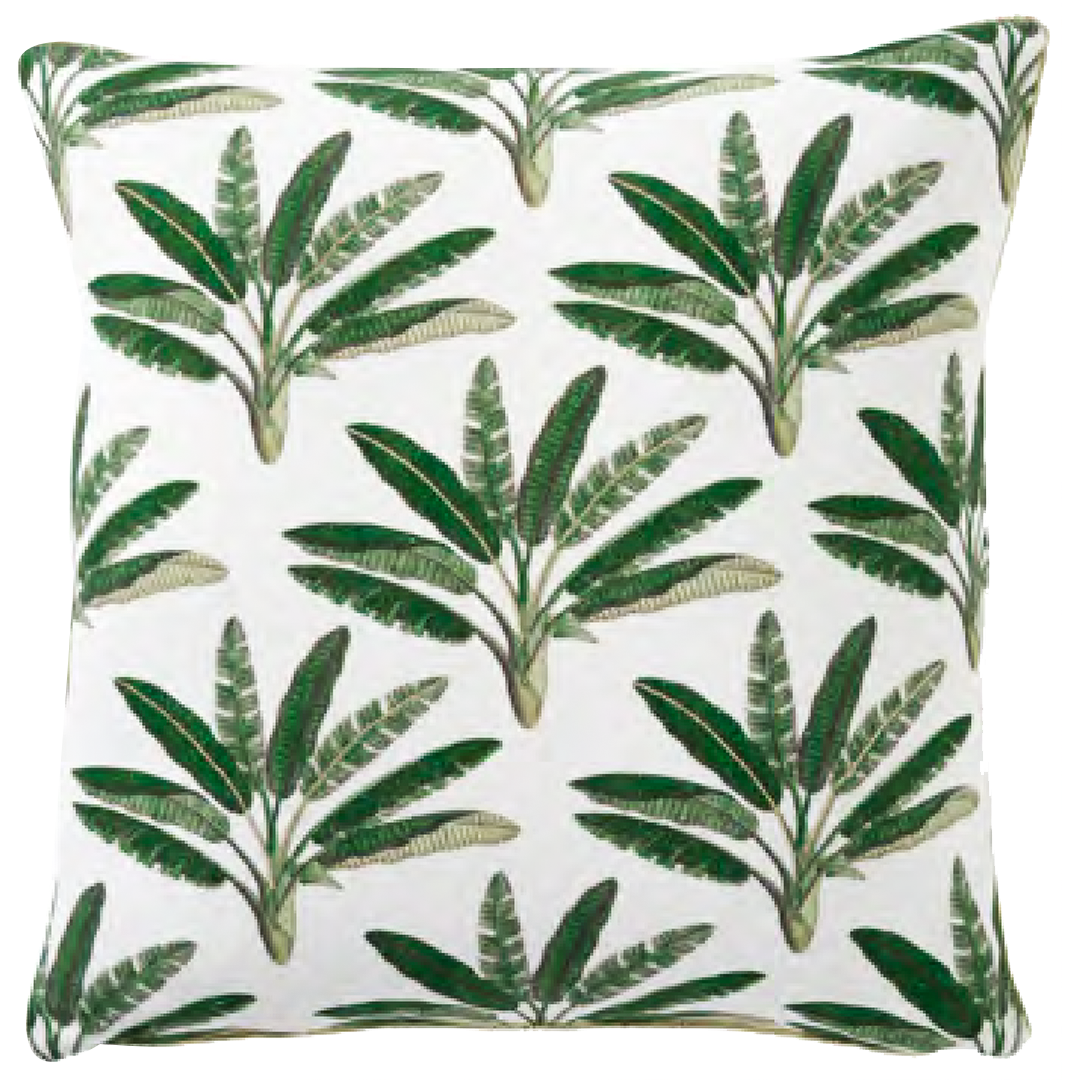 أشجار النخيل في كوباكابانا