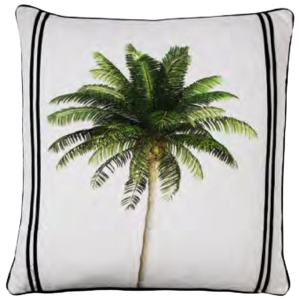 نخلة الباهاما