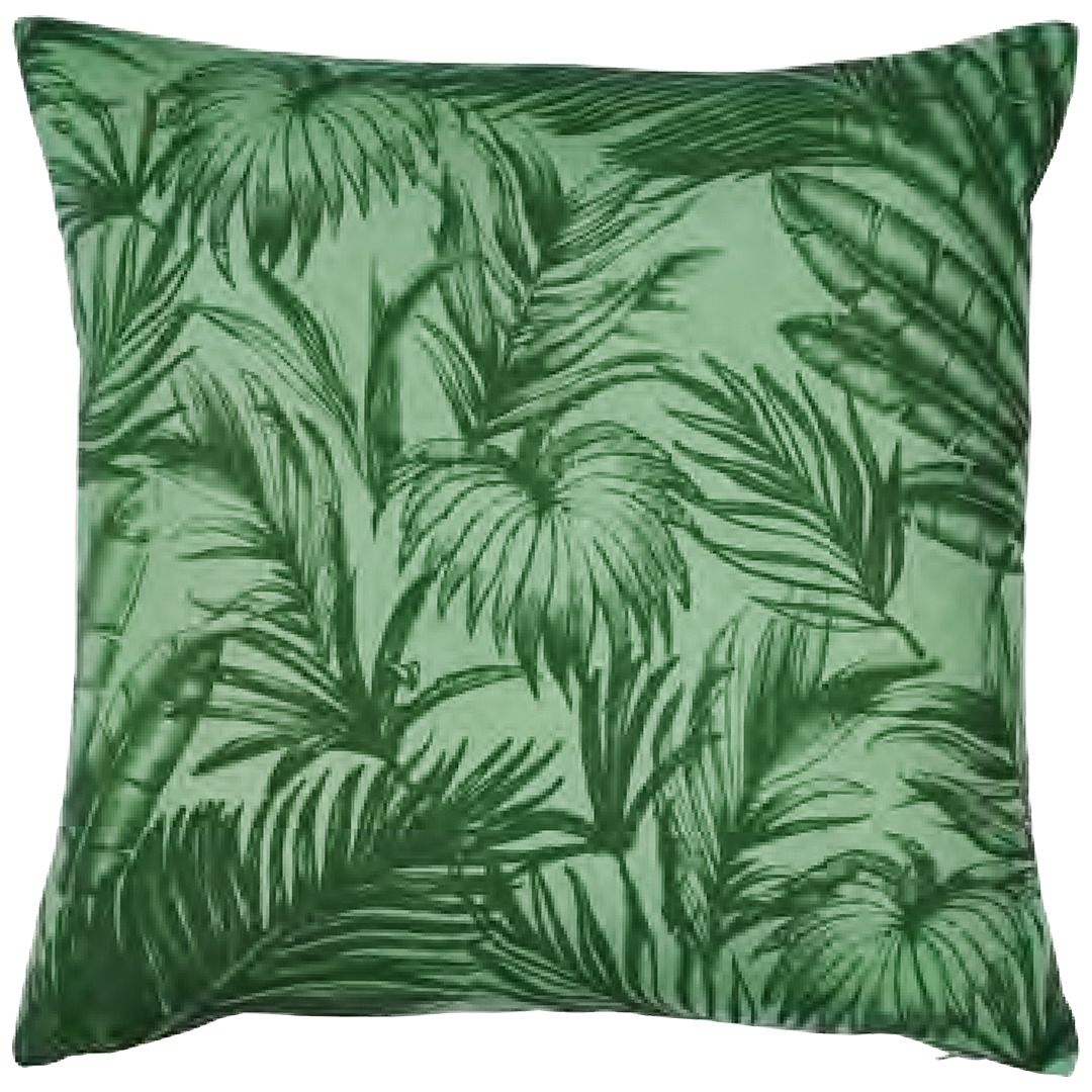 غابة النخيل