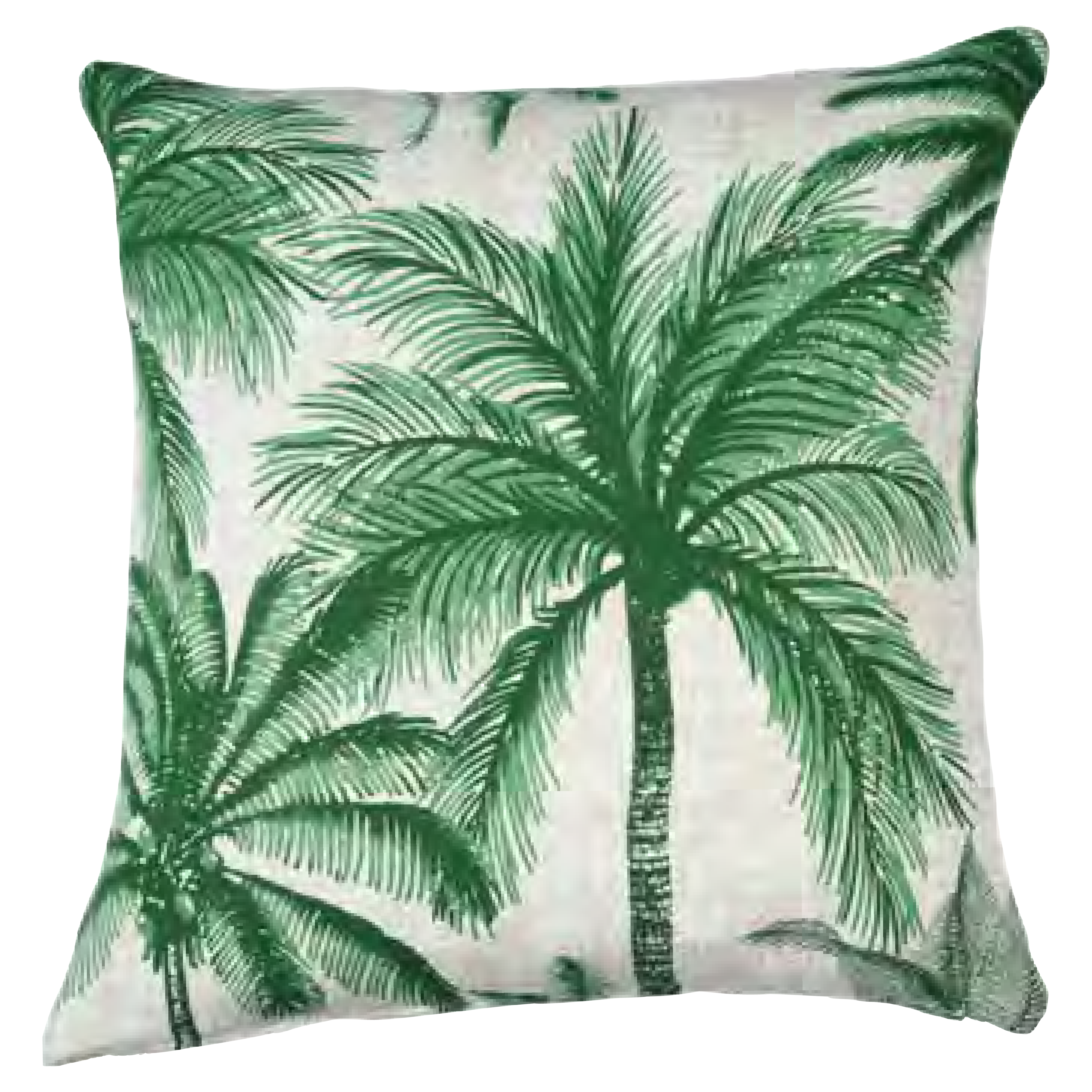 واحة النخيل سكوير