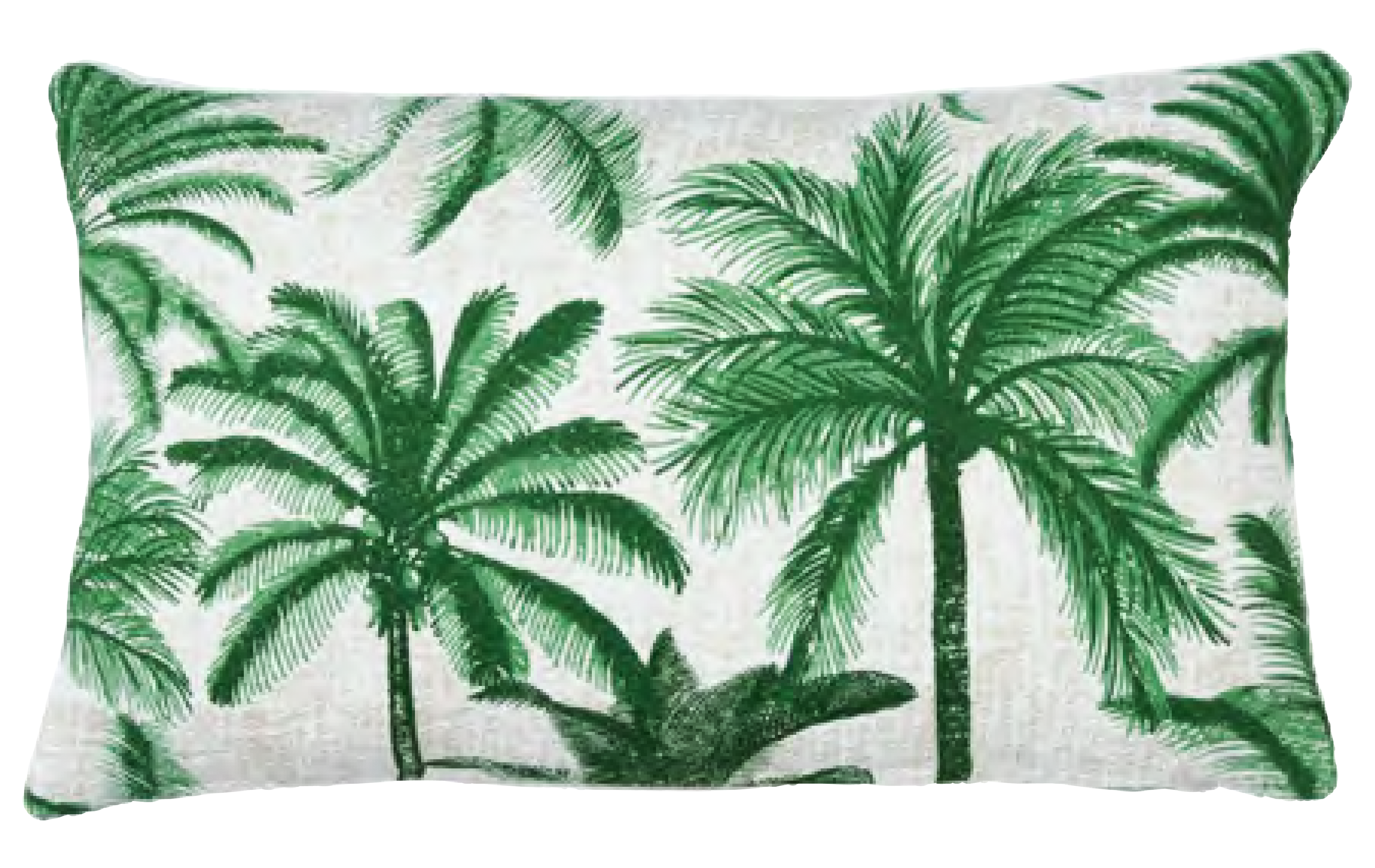 واحة النخيل