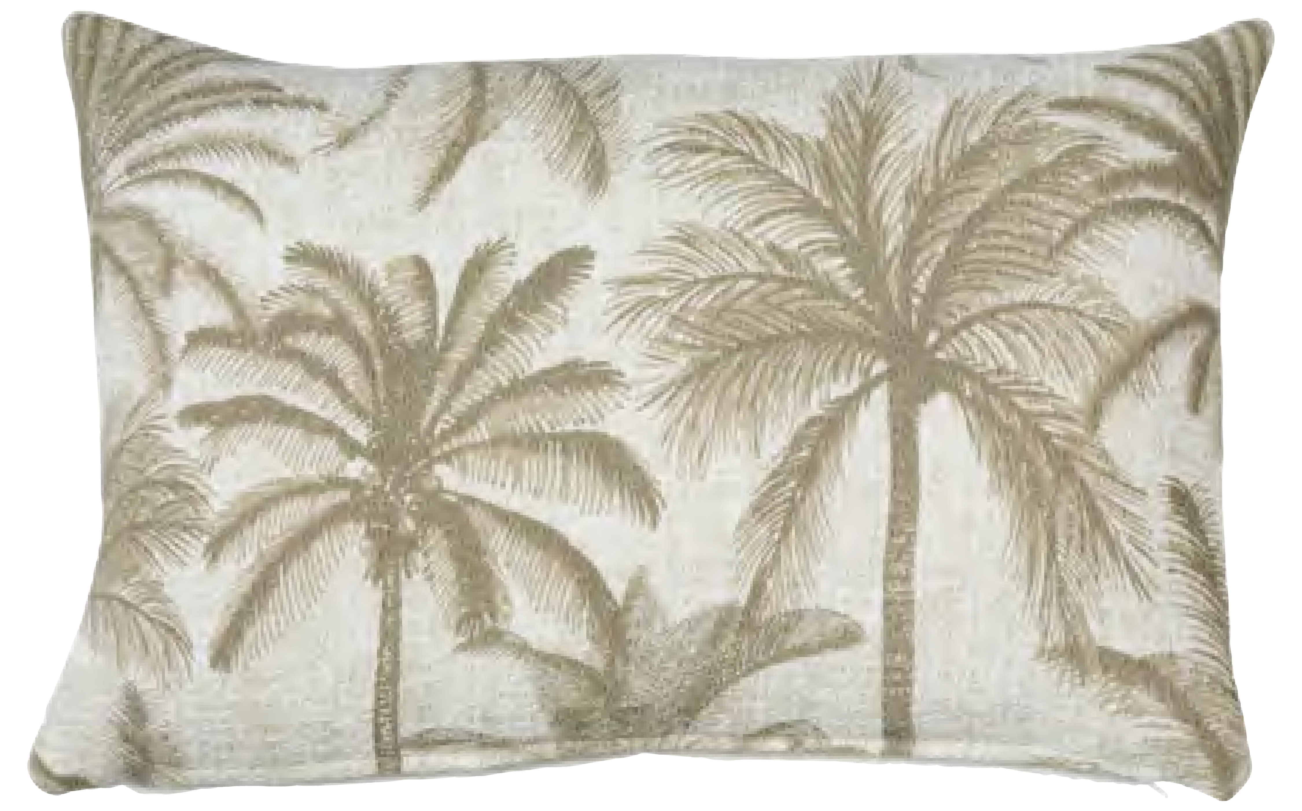 أشجار النخيل الرملية