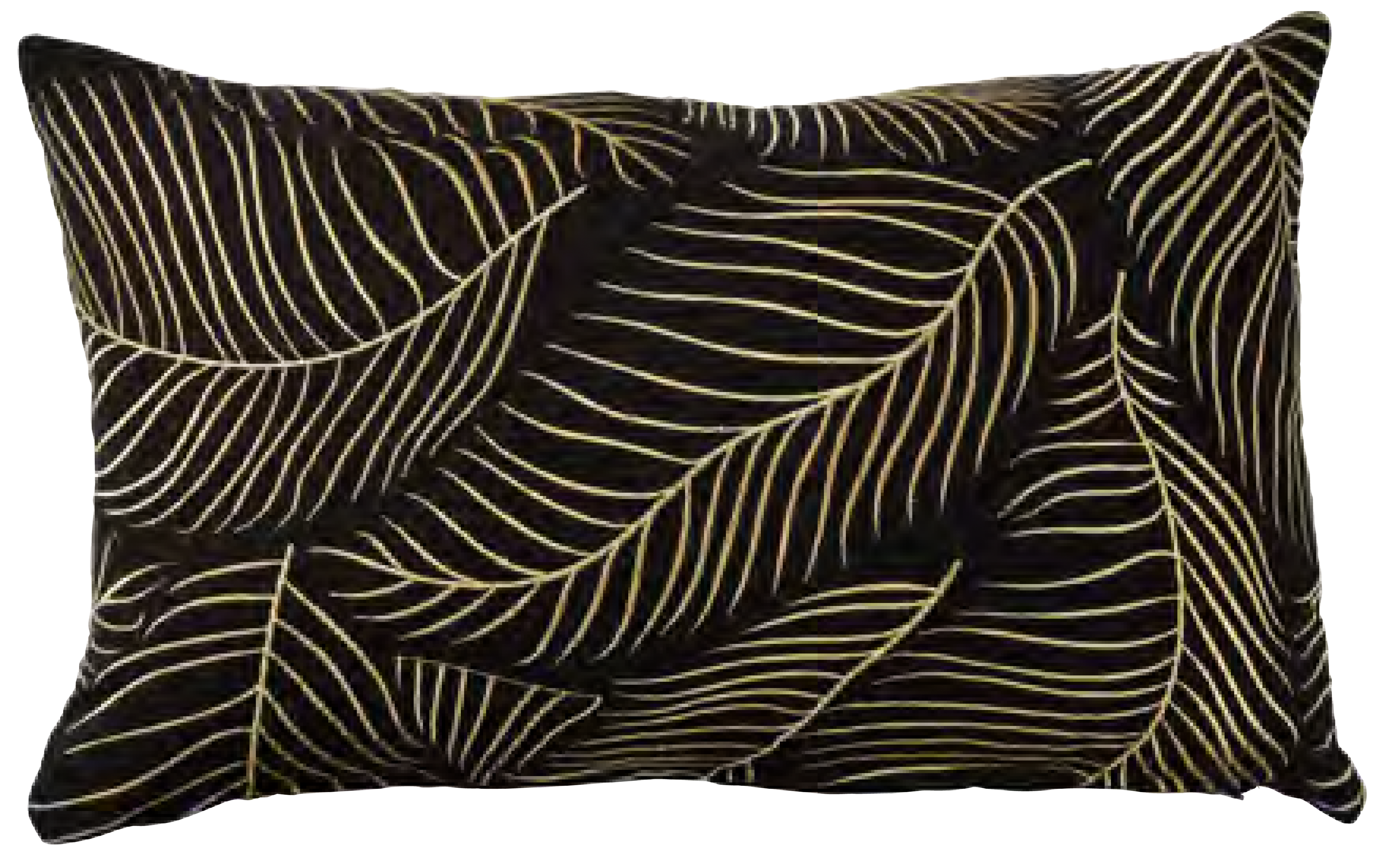 النخيل الذهبي