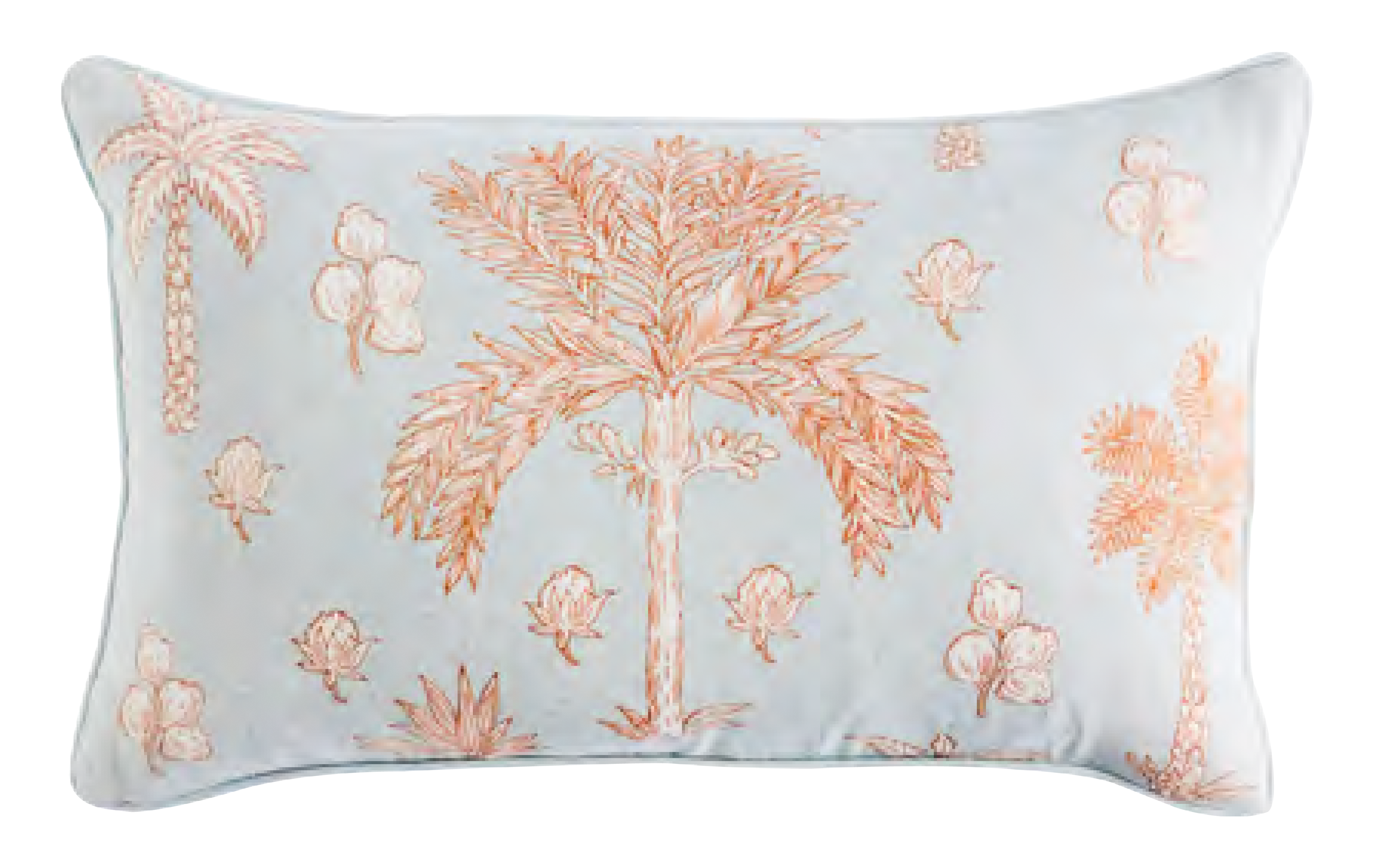 نخلة سانت لوسيا